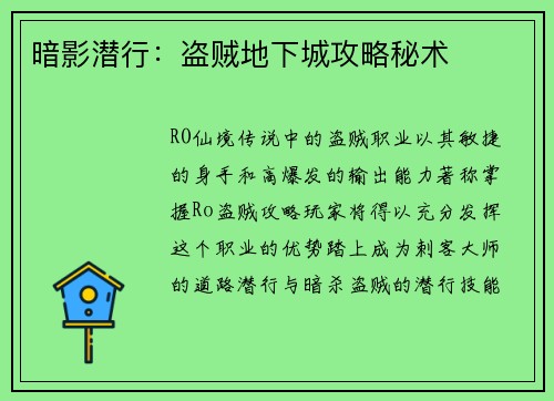 暗影潜行：盗贼地下城攻略秘术