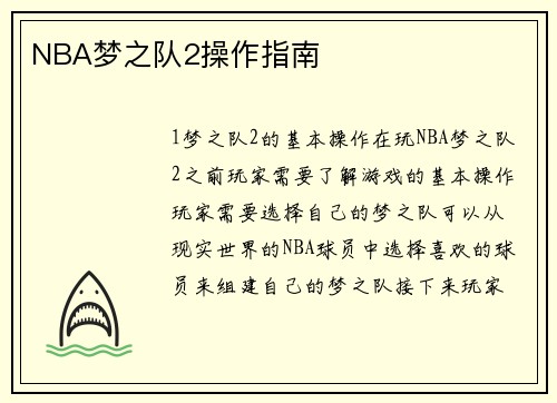 NBA梦之队2操作指南