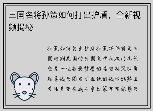 三国名将孙策如何打出护盾，全新视频揭秘
